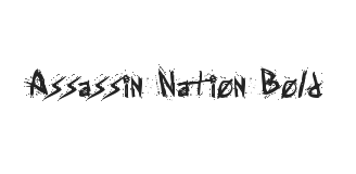 Assassin Nation Bold